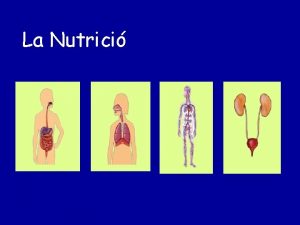 La Nutrici LA NUTRICI S EL PROCS QUE