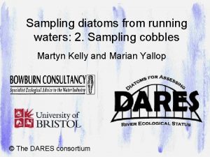 Sampling diatoms from running waters 2 Sampling cobbles