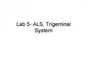 Lab 5 ALS Trigeminal System ALS ALS AN