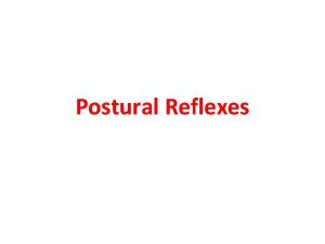 Postural Reflexes What Is Posture Posture is the