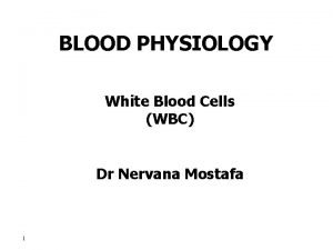 BLOOD PHYSIOLOGY White Blood Cells WBC Dr Nervana