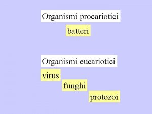 Organismi procariotici batteri Organismi eucariotici virus funghi protozoi