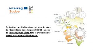 Protection des Pollinisateurs et des Services de lcosystme