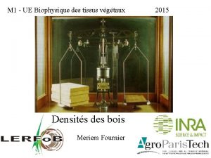 M 1 UE Biophysique des tissus vgtaux Densits