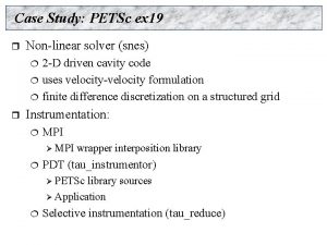Case Study PETSc ex 19 r Nonlinear solver