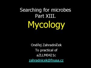 Searching for microbes Part XIII Mycology Ondej Zahradnek