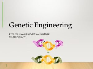 Genetic Engineering BY C KOHN AGRICULTURAL SCIENCES WATERFORD