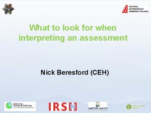 What to look for when interpreting an assessment