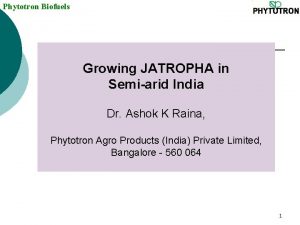 Phytotron Biofuels Growing JATROPHA in Semiarid India Dr