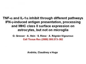 TNF and IL1 inhibit through different pathways IFN