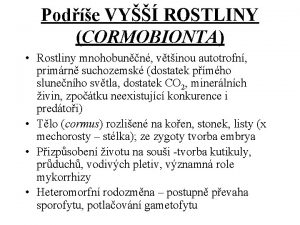 Pode VY ROSTLINY CORMOBIONTA Rostliny mnohobunn vtinou autotrofn