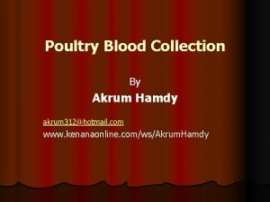 Poultry Blood Collection By Akrum Hamdy akrum 312hotmail