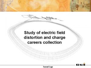Study of electric field distortion and charge careers