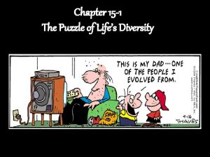 Chapter 15 1 The Puzzle of Lifes Diversity