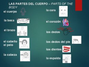 LAS PARTES DEL CUERPO PARTS OF THE BODY