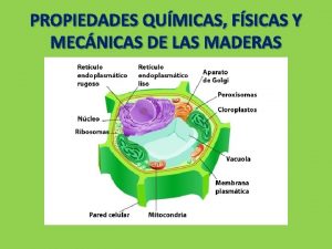 PROPIEDADES QUMICAS FSICAS Y MECNICAS DE LAS MADERAS