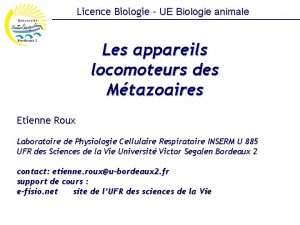 Licence Biologie UE Biologie animale Les appareils locomoteurs
