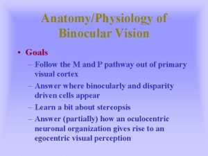 AnatomyPhysiology of Binocular Vision Goals Follow the M