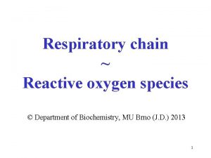 Respiratory chain Reactive oxygen species Department of Biochemistry