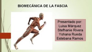 BIOMECNICA DE LA FASCIA Presentado por Luisa Mrquez