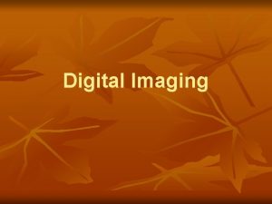 Digital Imaging Rasters vs Vectors n Rasters Made