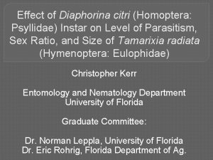 Effect of Diaphorina citri Homoptera Psyllidae Instar on