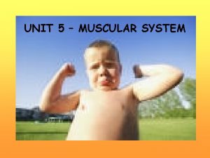 UNIT 5 MUSCULAR SYSTEM MUSCLE TYPES Cardiac muscle