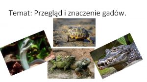 Temat Przegld i znaczenie gadw Na poprzedniej lekcji