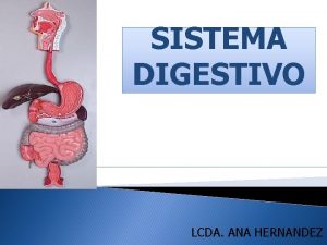 SISTEMA DIGESTIVO LCDA ANA HERNANDEZ El sistema digestivo