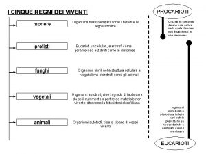 I CINQUE REGNI DEI VIVENTI monere Organismi molto