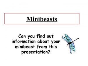Minibeasts Can you find out information about your