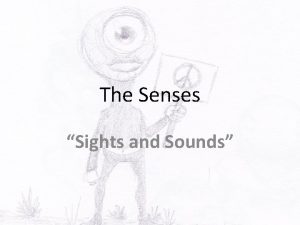 The Senses Sights and Sounds Anatomy ADay 22820