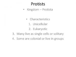 Protists Kingdom Protista Characteristics 1 Unicellular 2 Eukaryotic