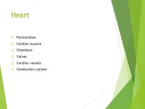 Heart Pericardium Cardiac muscle Chambers Valves Cardiac vessels