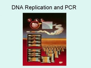 DNA Replication and PCR Central Dogma DNA structure