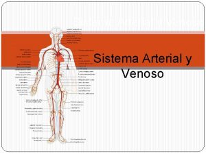 Sistema Arterial y Venoso Funcin Principal El sistema
