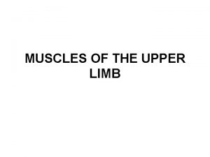 MUSCLES OF THE UPPER LIMB MUSCULI MM HUMERI