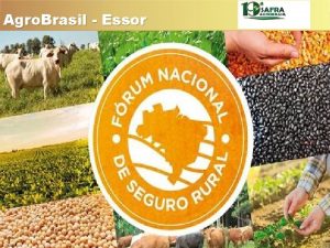 Agro Brasil Essor Parceria Agro Brasil Parceria Agro