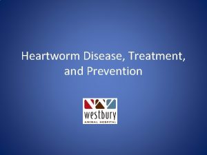 Heartworm Disease Treatment and Prevention Disease Canine Vector