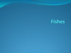Fishes What is a fish Aquatic vertebrates that