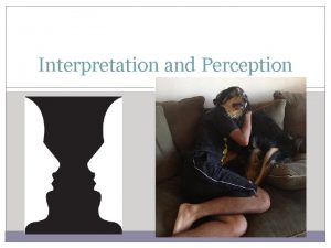 Interpretation and Perception TakeAway Points Social schemas Lisas