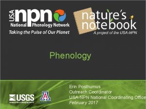 Phenology Erin Posthumus Outreach Coordinator USANPN National Coordinating