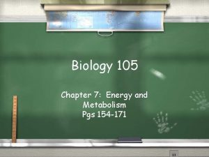 Biology 105 Chapter 7 Energy and Metabolism Pgs