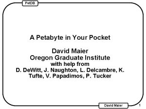 Pet DB A Petabyte in Your Pocket David