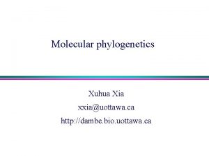 Molecular phylogenetics Xuhua Xia xxiauottawa ca http dambe