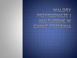 CO TO S WALORY TURYSTYCZNE Walory turystyczne element