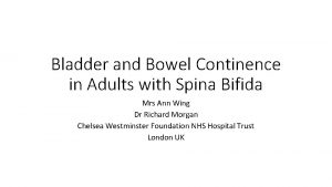 Bladder and Bowel Continence in Adults with Spina