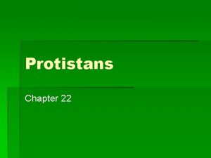 Protistans Chapter 22 Protistans are Unlike Prokaryotes Have