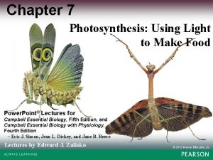 Chapter 7 Photosynthesis Using Light to Make Food