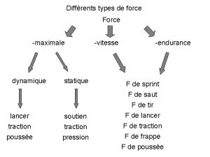 Diffrents types de force Force maximale dynamique statique